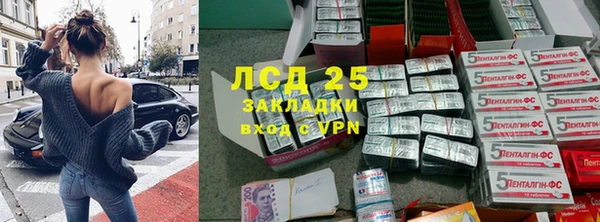 сатива Костерёво