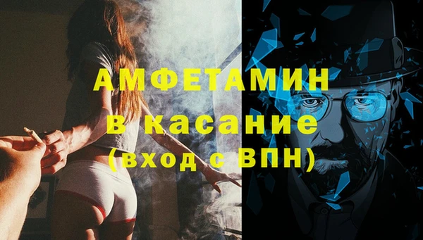 сатива Костерёво